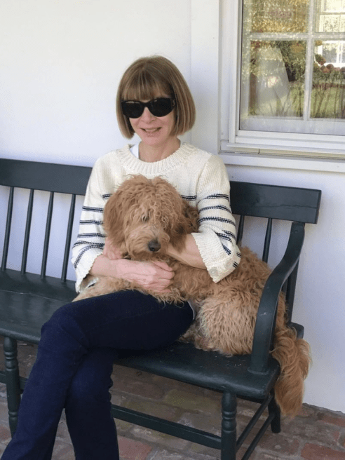 From Anna Wintour to Bill Belichick, these are the celebrities remaining loyal to their denim, even while in coronavirus quarantine.