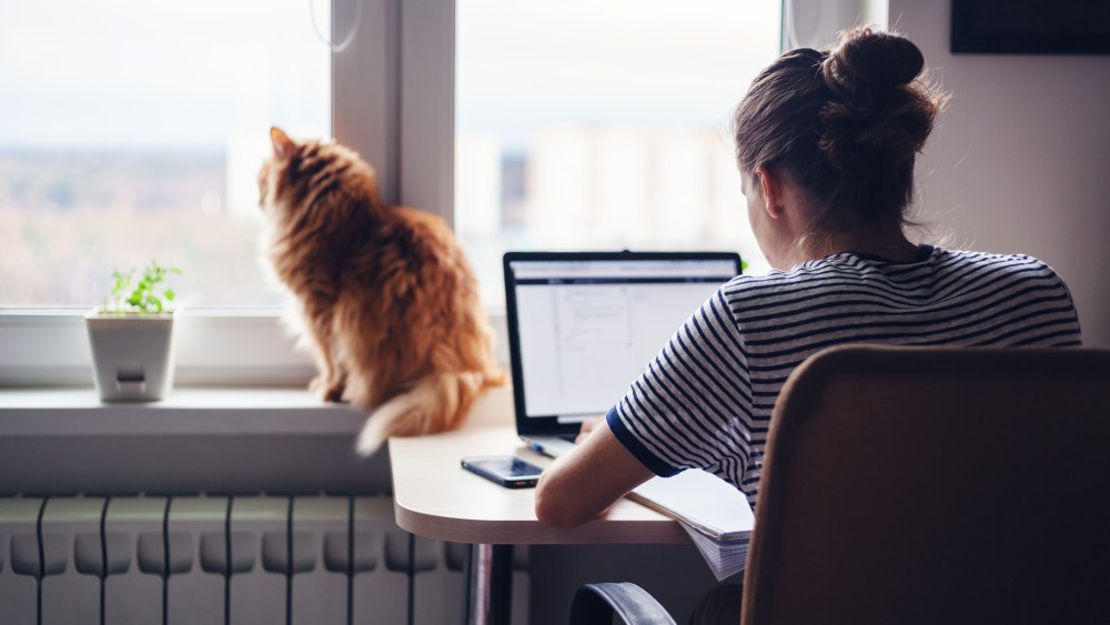 working from home