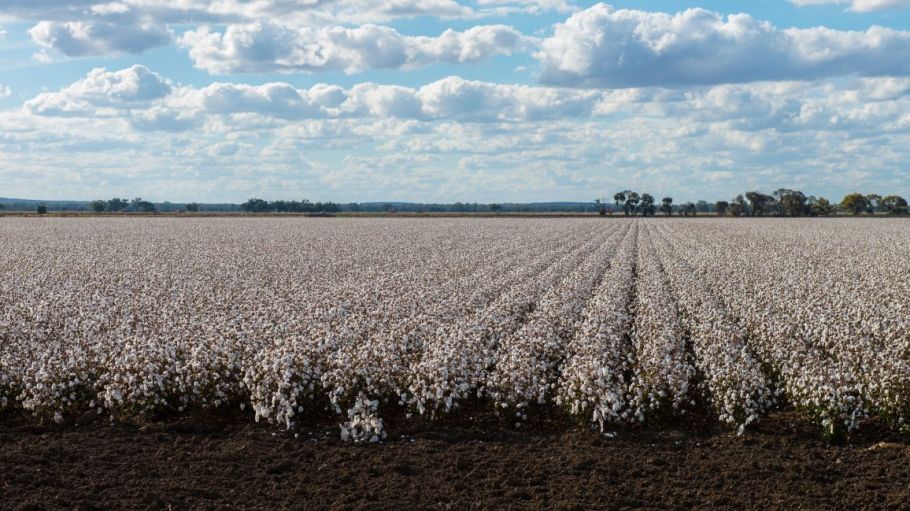 Cotton Council International has joined SAC and will use its Higg Index to drive environmental and social responsibility in the sector.