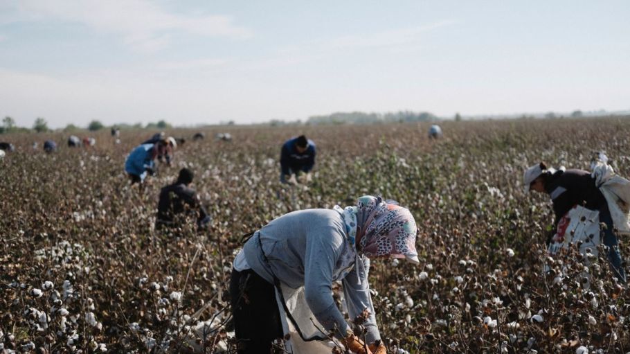 U.S. fashion brands need specific assurances from Uzbekistan before they can source cotton from a country with a history of forced labor.