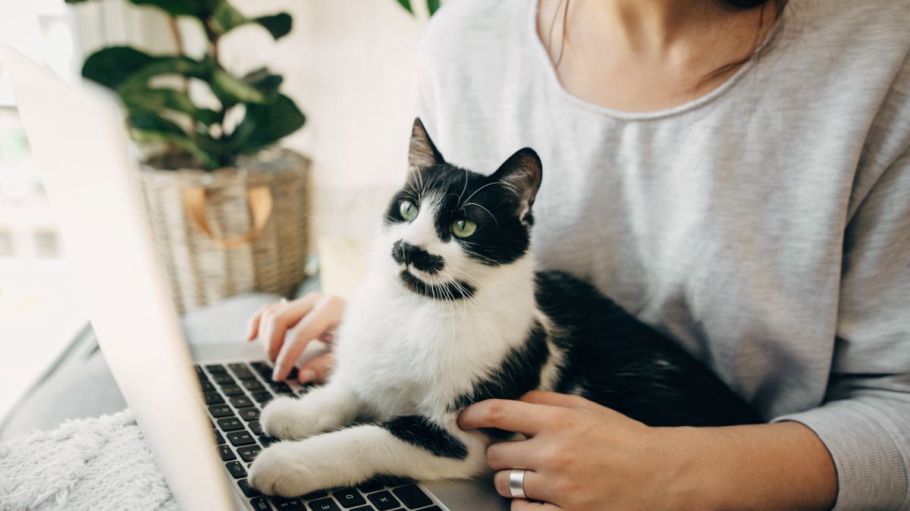 Working from home will accelerate the fashion casualization trend.