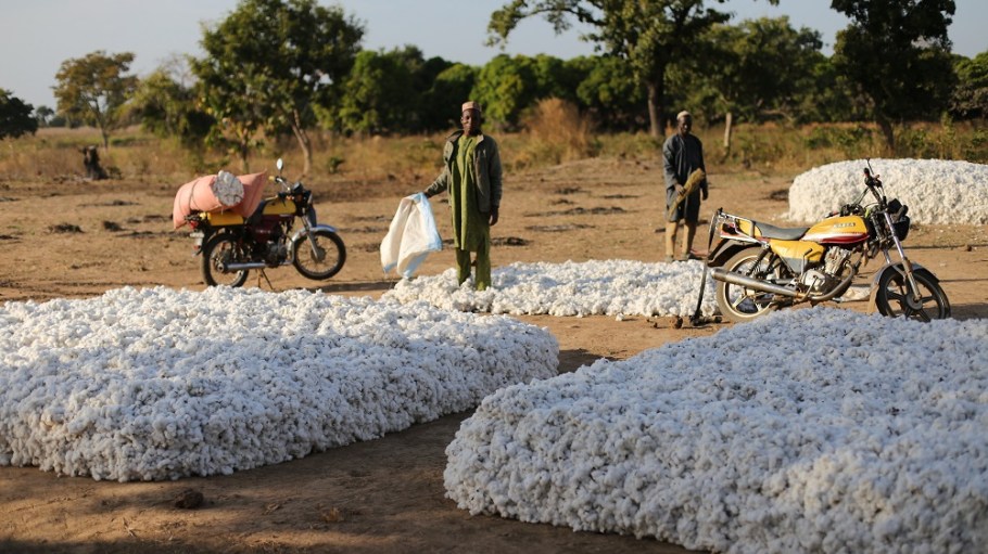 Textile Exchange says more countries in Africa are using genetically modified cotton, even as demand for organic and preferred cotton grows.