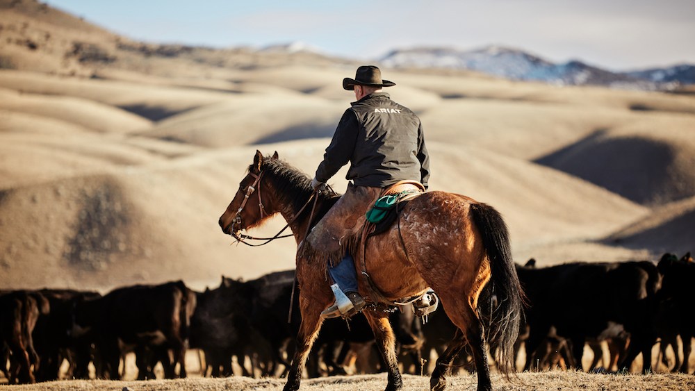 Around 80 percent of all Ariat leather comes from the same American ranchers that purchase the brand's work and Western boots.