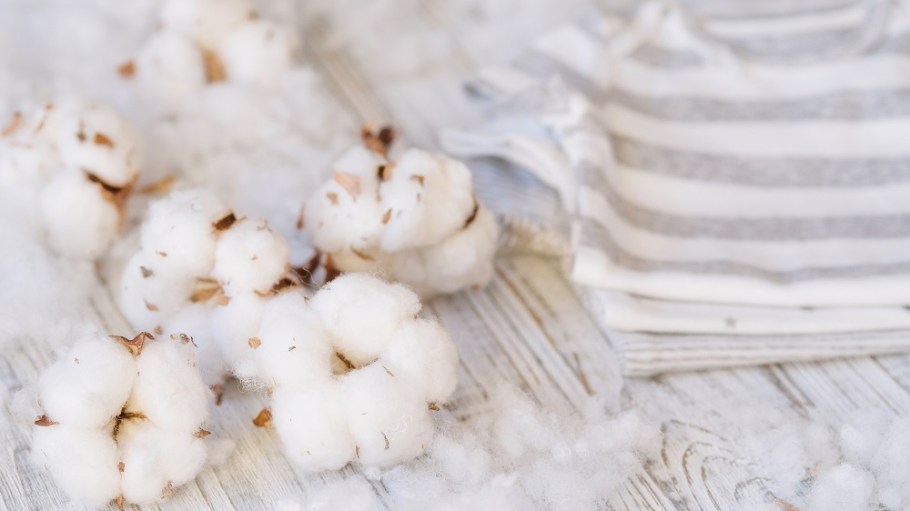 Textile Exchange’s 2025 Sustainable Cotton Challenge aims to be a cornerstone for change in the apparel and textile industry.