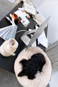 The Sally LaPointe at home fittings process.