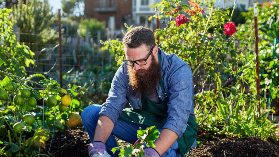 New hobbies like gardening are influencing online apparel searches, according to Lyst.