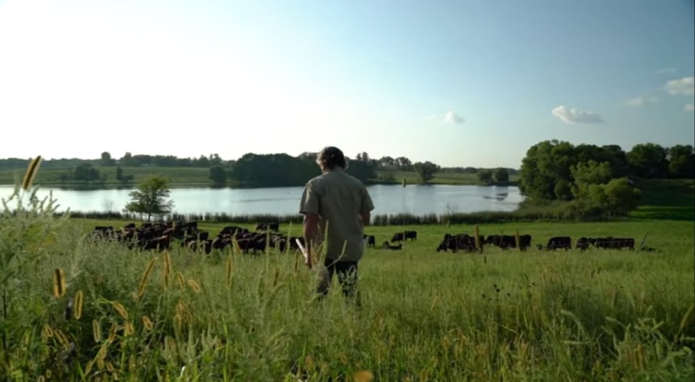 The Savory Institute's regenerative farming practices work to preserve the integrity of grasslands.