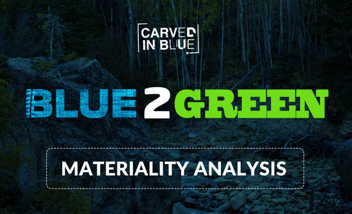 Carved in Blue Materiality Analysis