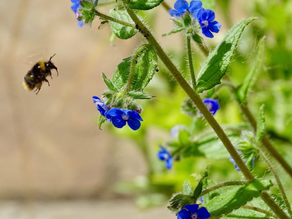 Climate change isn’t the only pressing issue for the fashion industry, says McKinsey. Brands and retailers must also tackle biodiversity.