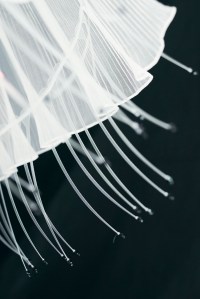 Iris Van Herpen Couture Fall 2020