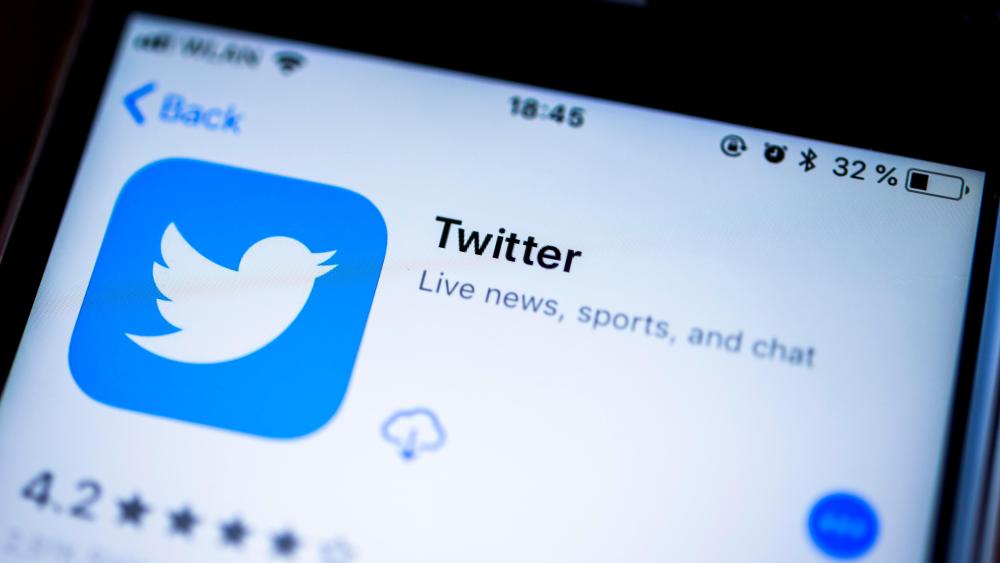 Twitter App in the Apple App Store, social network, app icon, iPhone, iOS, smartphone, display, close-up, GermanyVARIOUS