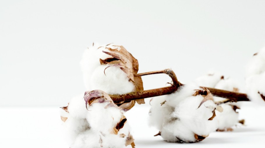 COVID-19 has raised the stakes for sustainability in the fashion supply chain, particularly when it comes to traceability.