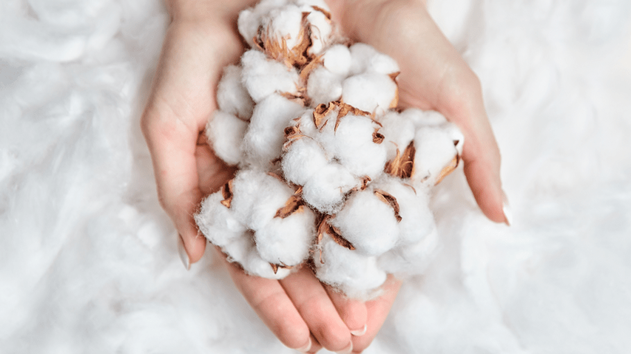 The BCI launched an advisory group with the purpose of providing advice on the development of the Better Cotton Chain of Custody (CoC).