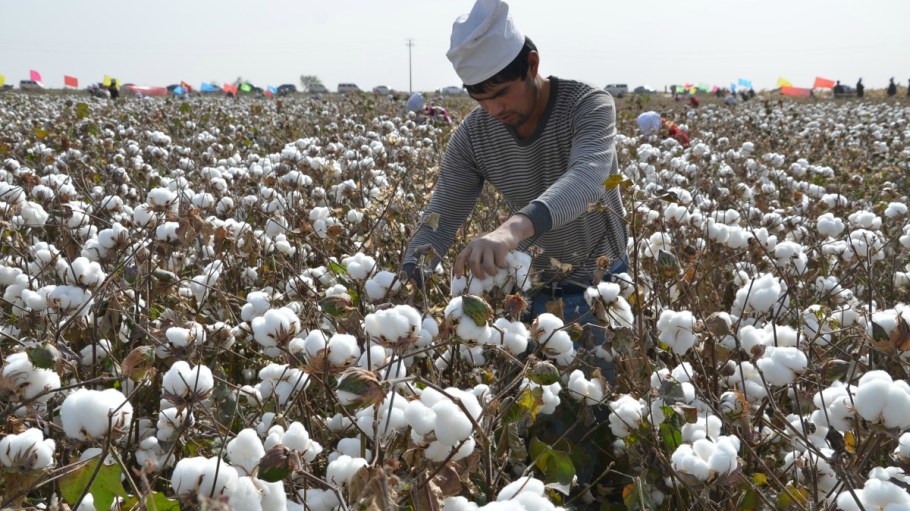 Human-rights groups have urged the U.S. Customs and Border Patrol to issue a regional WRO on all cotton-made goods from Xinjiang.