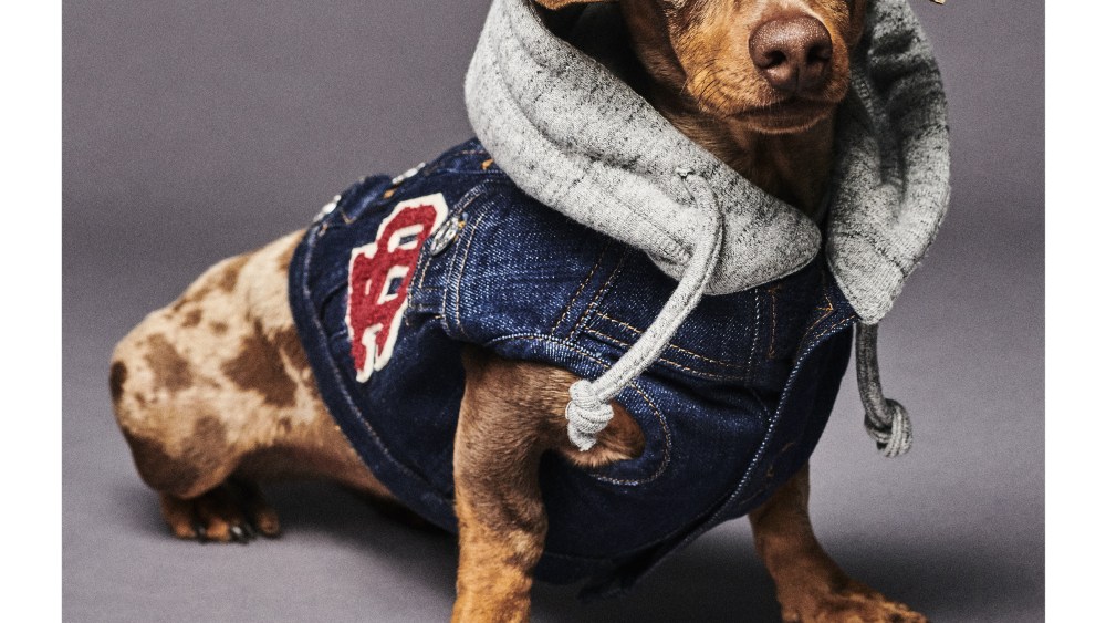 A look from the Poldo Dog Couture x Dsquared2 collection.