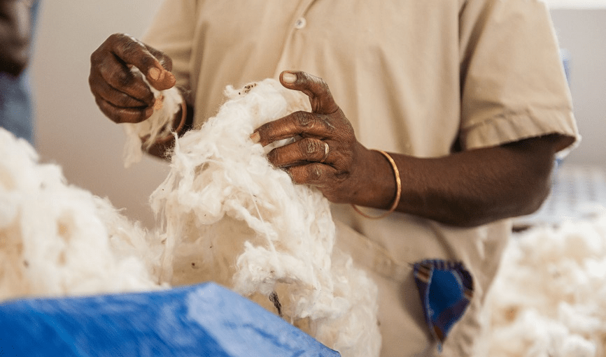 SupplyCompass has teamed with Australia's The Woolmark Company to offer fashion brands the chance to produce sustainable wool collections.