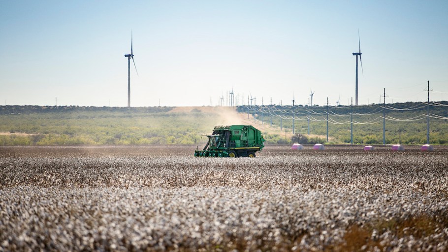 Kontoor Brands-owned Wrangler is seeking cotton farmers who can demonstrate tangible benefits from their regenerative agricultural systems.