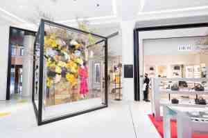 A past display in David Jones