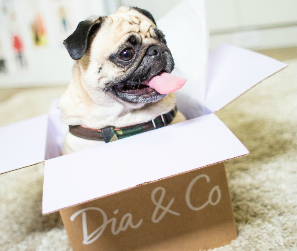 Dia&Co.'s size-inclusive line includes contemporary staples.