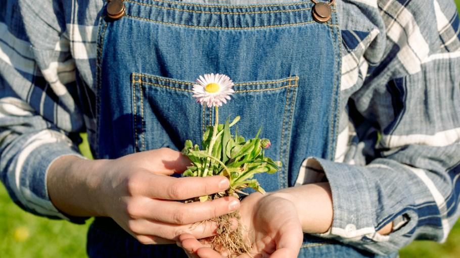 Denim giant Kontoor Brands is doubling down on sustainability efforts with rigorous goals published in its first-ever sustainability report.