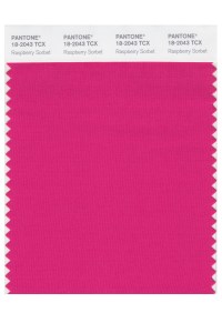 Raspberry Sorbet 18-2043