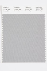 Ultimate Grey 17-5104