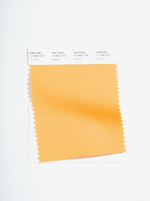 Pantone's projections for spring hues are sunny and optimistic.