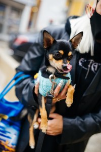 Street style at Milan Fashion Week Spring 2021