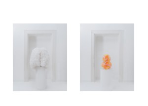 Tomo Koizumi x Pucci Capsule Collection