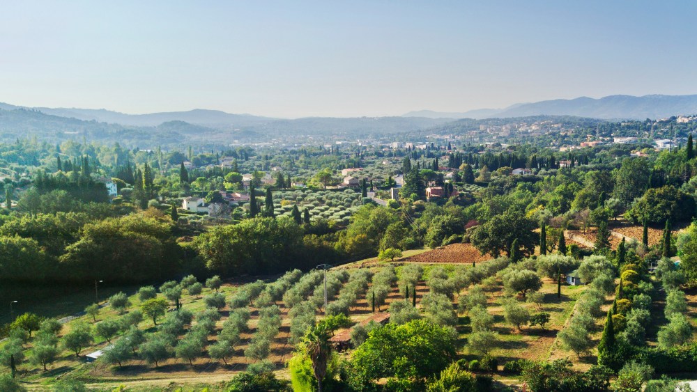 The Domaine de la Rose by Lancôme