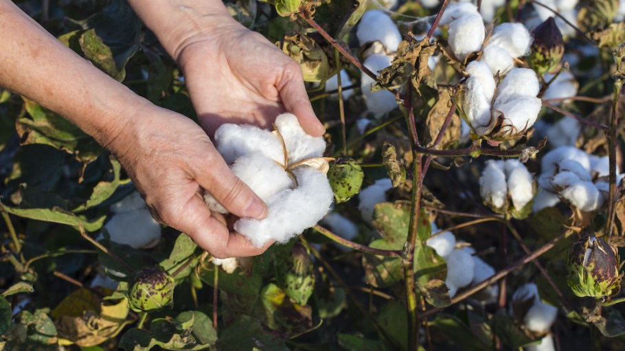 Outland Denim and Nudie Jeans launched the Supply Network Intelligence System to improve working conditions for cotton farmers.