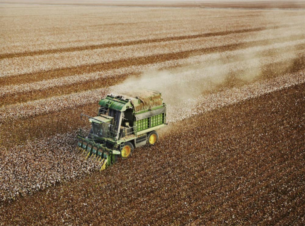 Supima is a non-profit trade association that promotes 100 percent U.S.-grown American Pima cotton.