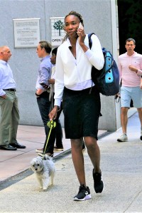 EXCLUSIVE: Venus Williams takes her beloved Havenese dog, Harry for a walk in New York during the US Open tennis championships. 03 Sep 2019 Pictured: Venus Williams, Harry. Photo credit: KAT / MEGA TheMegaAgency.com +1 888 505 6342 (Mega Agency TagID: MEGA494498_001.jpg) [Photo via Mega Agency]