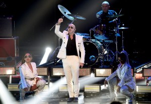 Pitbull