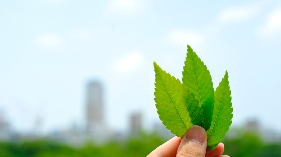 Crystal International joined the Fashion Industry Charter for Climate Action to unify the fashion industry in reducing carbon emissions.