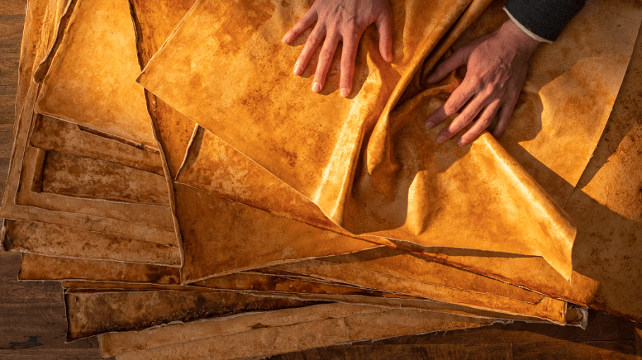 To create Reishi, a class of sustainable material designed to perform like cowhide leather, MycoWorks developed its own proprietary process, in which sheets of Reishi's interwoven mycelium cells from fungi are grown to size and can be finely tuned as it's cultivated.