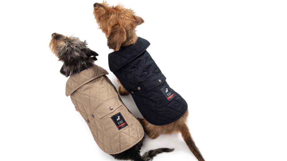 Poldo Dog Couture x Fay.