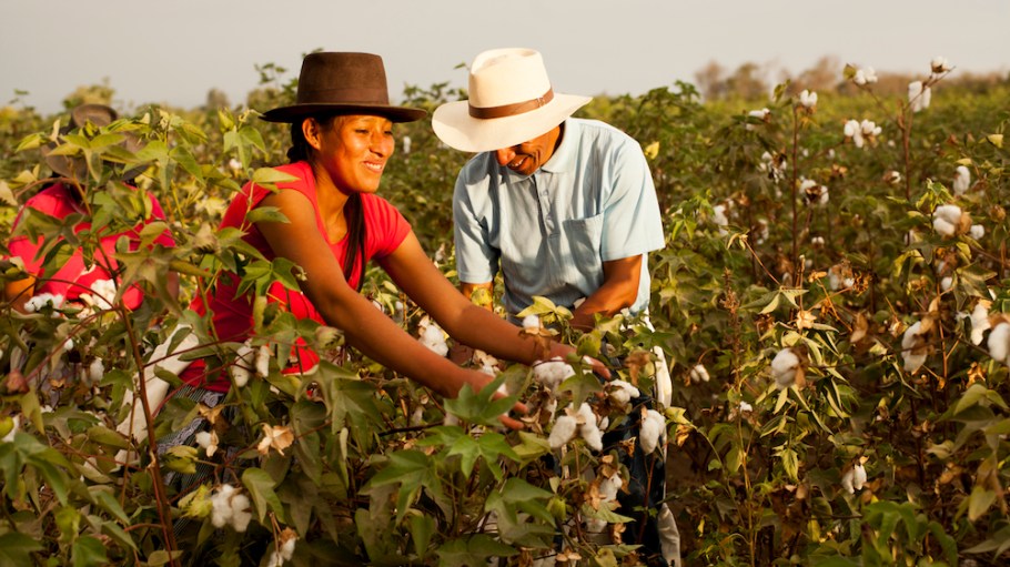 As it eyes sustainable leadership, the Peru Textiles Exporters Association is focusing on the triple bottom line: People, Planet and Profit.