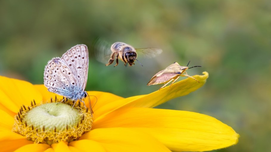 Textile Exchange’s Corporate Fiber and Materials Benchmark program is launching a tool to help fashion take action on biodiversity.