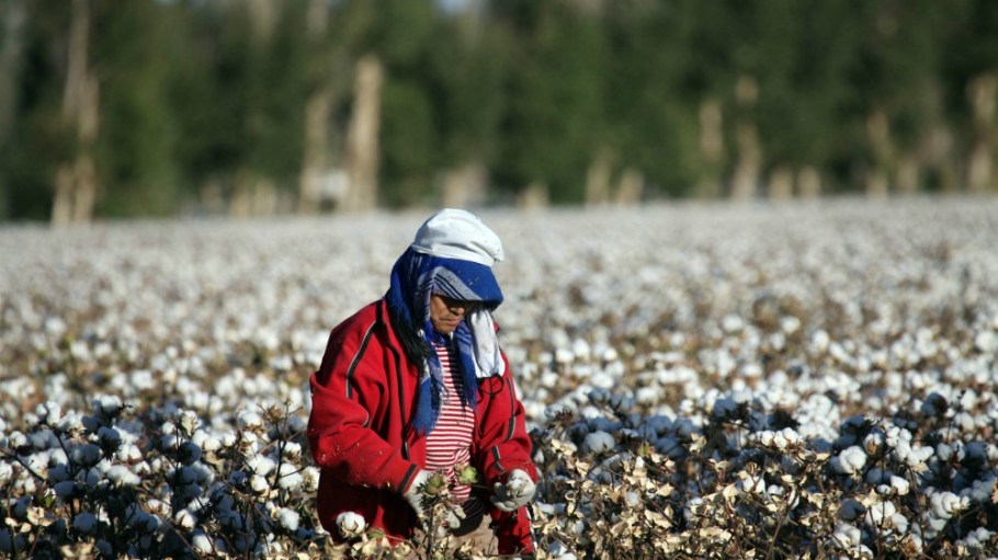 The Nike-affiliated Fair Labor Association effectively banned apparel sourcing and production of goods from Xinjiang in northwestern China.