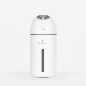 Hey Dewy Wireless Humidifier