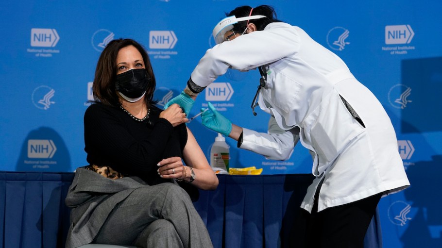 Vice President Kamala Harris is drawing attention for wearing Dolce and Gabbana, while other Inauguration Day stars ink modeling contracts.