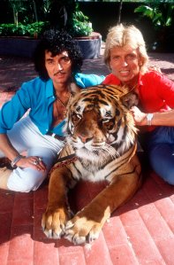 FILED - 30 November 1980, US, Las Vegas: German magicians and tamers Siegfried Fischbacher (r) and Uwe Horn, alias Roy (l) with one of their tigers on their estate. The "Siegfried & Roy" magician Siegfried Fischbacher is dead. The Rosenheim native died on Jan. 13, 2021, at the age of 81, his sister confirmed to the German Press Agency on Jan. 14, 2021. Photo by: Horst Ossinger/picture-alliance/dpa/AP Images