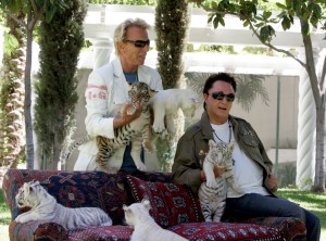 Siegfried Fischbacher, left, and Roy Horn, of the illusionist team of Siegfried & Roy, play with their tiger cubs at their Las Vegas home, Thursday, June 12, 2008.  The pair are welcoming five new tiger cubs to their exotic habitat on the Las Vegas Strip. Fischbacher said Thursday that working with the tigers is the perfect rehabilitation for Horn, who was critically injured when he was mauled by a 380-pound white Bengal tiger onstage in 2003. (AP Photo/Louie Traub)