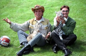 (dpa files) - Roy Horn (R) and Siegfried Fischbacher (L) of the animal magician duo 'Siegfried and Roy', play with a white tiger at the Hollywood Safari Park in Stuckenbrock, Germany, 16 January 1997. Roy Horn is recovering after being attacked by a tiger on stage in Las Vegas on 3 October 2003. The 59-year-old German-born performer was bitten by a white Bengal tiger in the neck and dragged off stage during a performance at the Mirage hotel and casino. Roy, whose real name is Uwe Ludwig Horn, was born in Bavaria in 1939 and began working with tigers at age 15. He immigrated to the United States in 1970. The duo Siegfried and Roy began performing at the Mirage in 1990 and signed a lifetime contract with the hotel and casino two years ago. Photo by: Boris Roessler/picture-alliance/dpa/AP Images