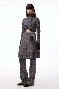 C+plus Series RTW Fall 2021