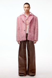 C+plus Series RTW Fall 2021