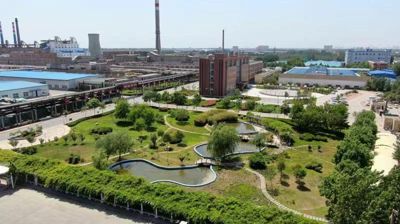 Fiber plant