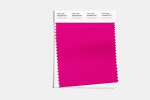 Fuchsia Fedora 18-2330