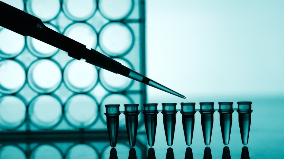 Three organizations representing the organic textile sector have reached a significant milestone in testing for genetically modified cotton.